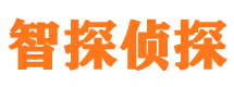 陈仓市调查公司